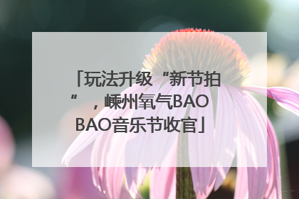玩法升级“新节拍”，嵊州氧气BAOBAO音乐节收官