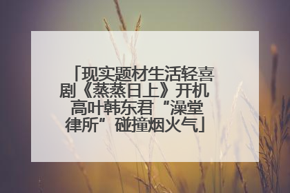 现实题材生活轻喜剧《蒸蒸日上》开机 高叶韩东君“澡堂律所”碰撞烟火气