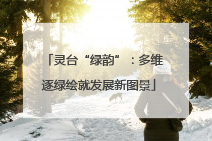 灵台“绿韵”：多维逐绿绘就发展新图景