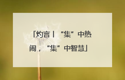 灼言丨“集”中热闹，“集”中智慧