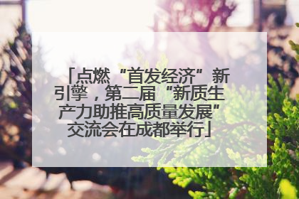点燃“首发经济”新引擎，第二届“新质生产力助推高质量发展”交流会在成都举行