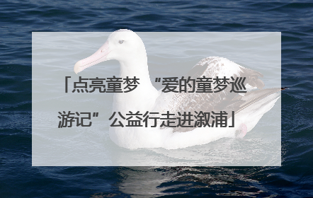 点亮童梦 “爱的童梦巡游记”公益行走进溆浦