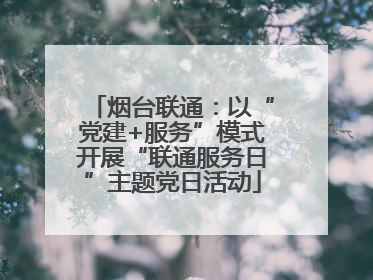 烟台联通：以“党建+服务”模式开展“联通服务日”主题党日活动