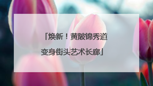 焕新！黄陂锦秀道变身街头艺术长廊