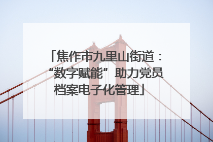 焦作市九里山街道：“数字赋能”助力党员档案电子化管理