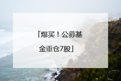 爆买！公募基金重仓7股
