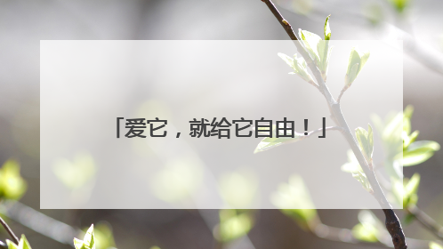 爱它，就给它自由！
