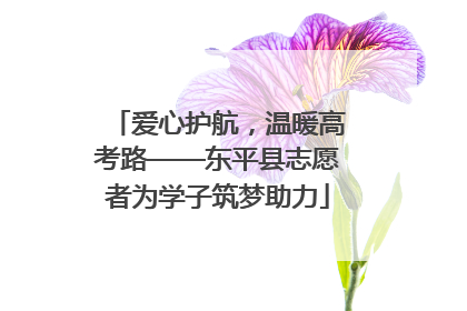 爱心护航，温暖高考路——东平县志愿者为学子筑梦助力