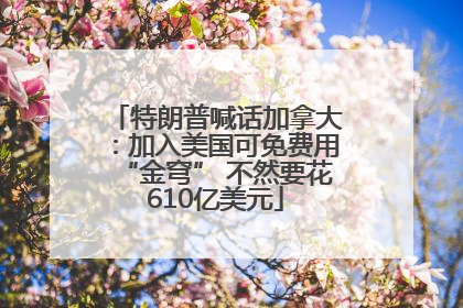 特朗普喊话加拿大：加入美国可免费用“金穹” 不然要花610亿美元