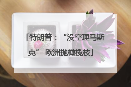特朗普：“没空理马斯克” 欧洲抛橄榄枝