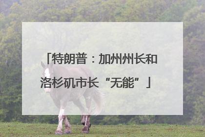 特朗普：加州州长和洛杉矶市长“无能”