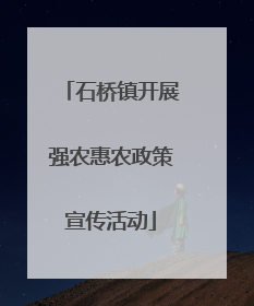 石桥镇开展强农惠农政策宣传活动