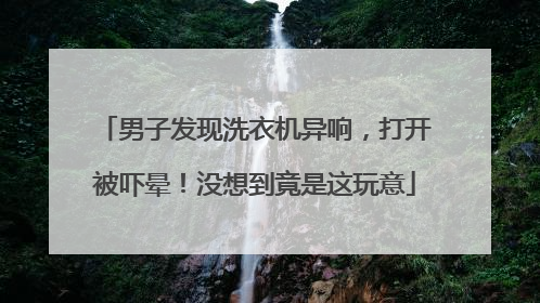 男子发现洗衣机异响，打开被吓晕！没想到竟是这玩意