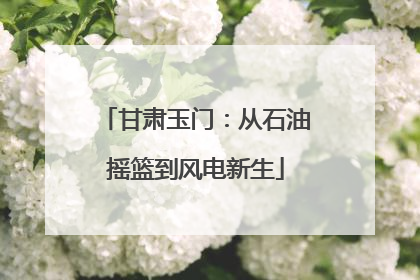 甘肃玉门：从石油摇篮到风电新生
