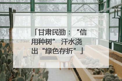 甘肃民勤：“信用种树” 汗水浇出“绿色存折”