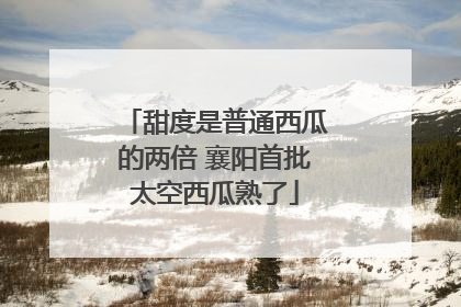 甜度是普通西瓜的两倍 襄阳首批太空西瓜熟了