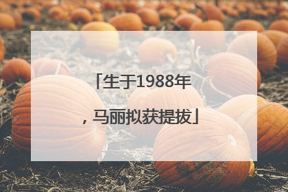 生于1988年，马丽拟获提拔