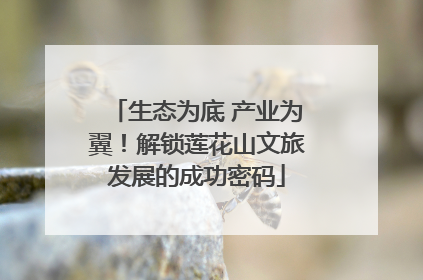 生态为底 产业为翼！解锁莲花山文旅发展的成功密码
