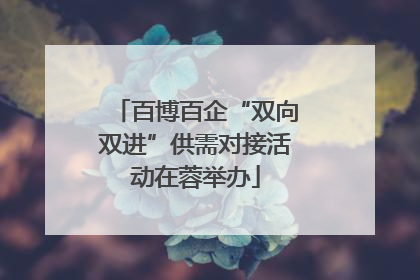 百博百企“双向双进”供需对接活动在蓉举办