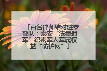 百名律师结对驻泰部队：泰安“法律拥军”织密军人军属权益“防护网”