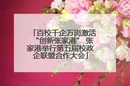 百校千企万岗激活“创新张家港” 张家港举行第五届校政企联盟合作大会