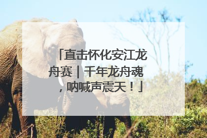 直击怀化安江龙舟赛｜千年龙舟魂，呐喊声震天！