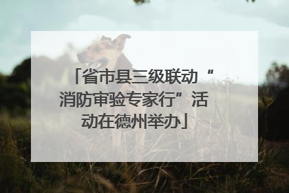 省市县三级联动“消防审验专家行”活动在德州举办