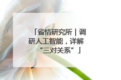 省情研究所｜调研人工智能，详解“三对关系”