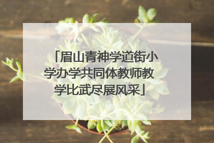 眉山青神学道街小学办学共同体教师教学比武尽展风采