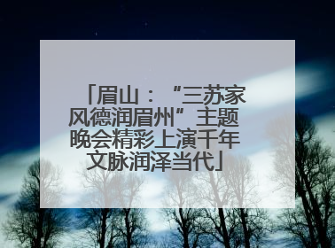 眉山：“三苏家风德润眉州”主题晚会精彩上演千年文脉润泽当代