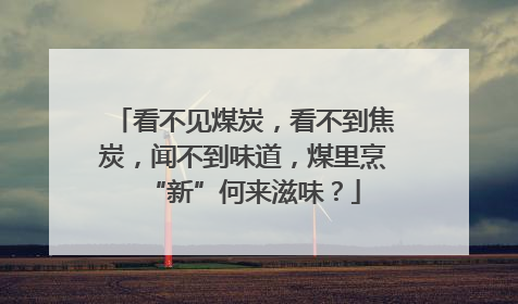 看不见煤炭，看不到焦炭，闻不到味道，煤里烹“新”何来滋味？