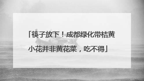 筷子放下！成都绿化带桔黄小花并非黄花菜，吃不得