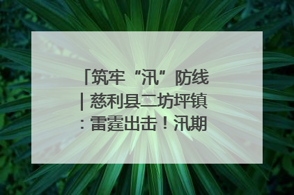 筑牢“汛”防线｜慈利县二坊坪镇：雷霆出击！汛期捕鱼被紧急叫停