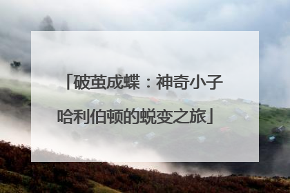 破茧成蝶：神奇小子哈利伯顿的蜕变之旅