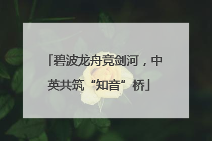碧波龙舟竞剑河，中英共筑“知音”桥