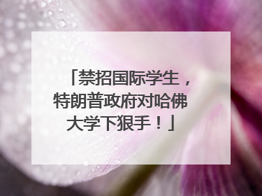 禁招国际学生，特朗普政府对哈佛大学下狠手！
