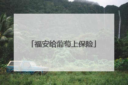 福安给葡萄上保险