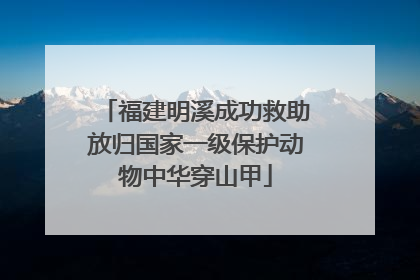福建明溪成功救助放归国家一级保护动物中华穿山甲