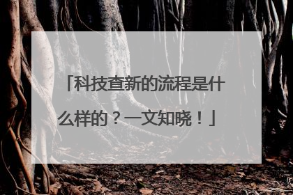 科技查新的流程是什么样的？一文知晓！
