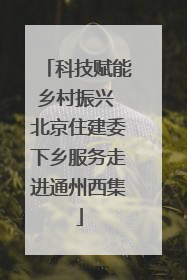 科技赋能乡村振兴 北京住建委下乡服务走进通州西集