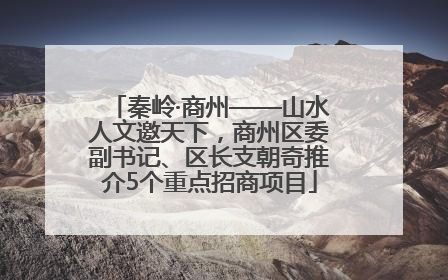 秦岭·商州——山水人文邀天下，商州区委副书记、区长支朝奇推介5个重点招商项目