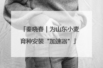 秦晓春｜为山东小麦育种安装“加速器”