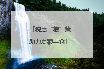 税惠“粮”策助力夏粮丰仓