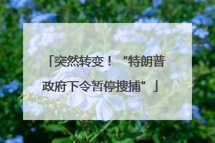 突然转变！“特朗普政府下令暂停搜捕”