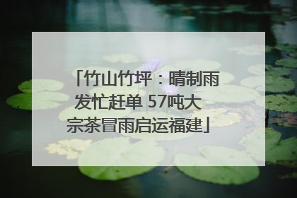 竹山竹坪：晴制雨发忙赶单 57吨大宗茶冒雨启运福建