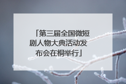 第三届全国微短剧人物大典活动发布会在桐举行