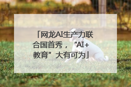 网龙AI生产力联合国首秀，“AI+教育”大有可为