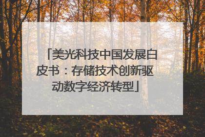 美光科技中国发展白皮书：存储技术创新驱动数字经济转型