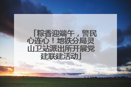 粽香迎端午，警民心连心！地铁分局灵山卫站派出所开展党建联建活动