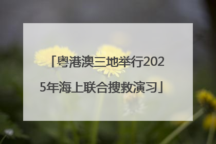 粤港澳三地举行2025年海上联合搜救演习